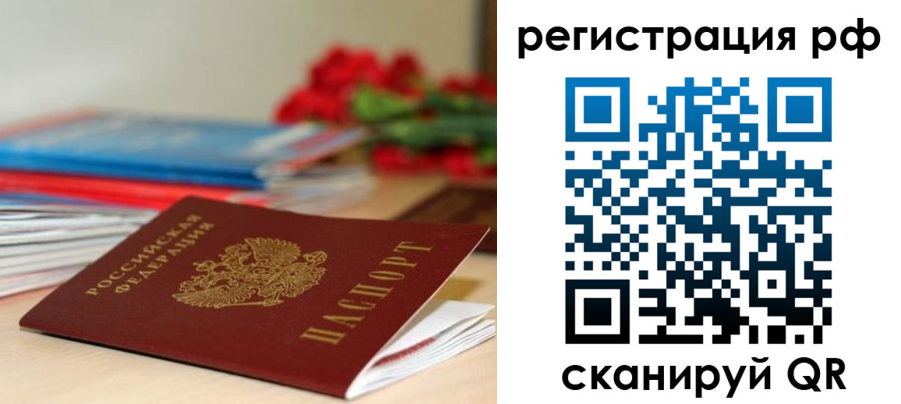 найти адрес прописки в Курске
